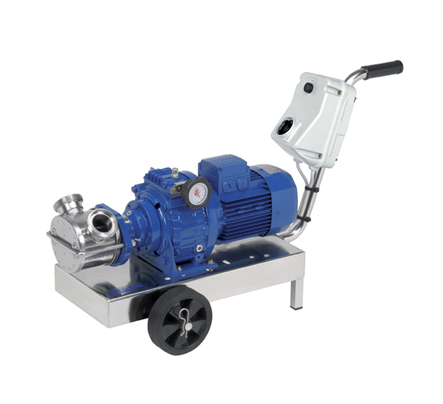 Gearbox Drive Flexible Impeller Pump