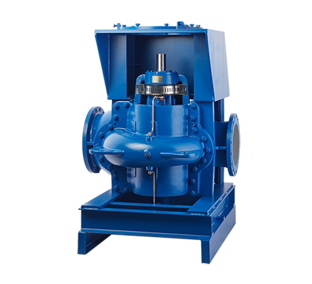 Vertical Double Suction Centrifugal Pump