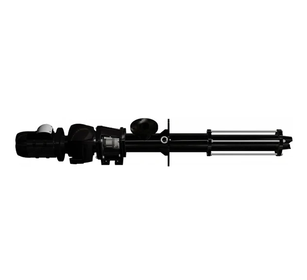 Vertical Progressive Cavity Pump